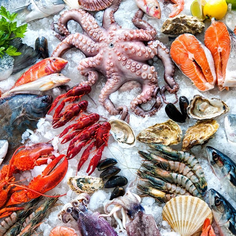Người bị bệnh Gout không nên ăn hải sản