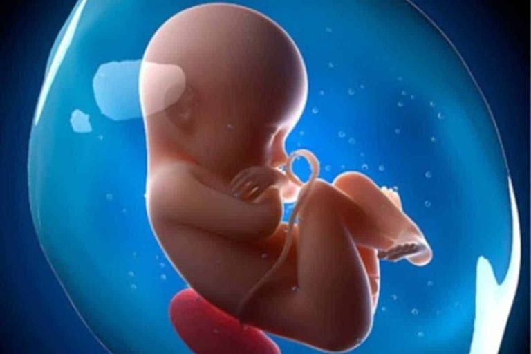 Sàng lọc bất thường nhiễm sắc thể ở thai nhi