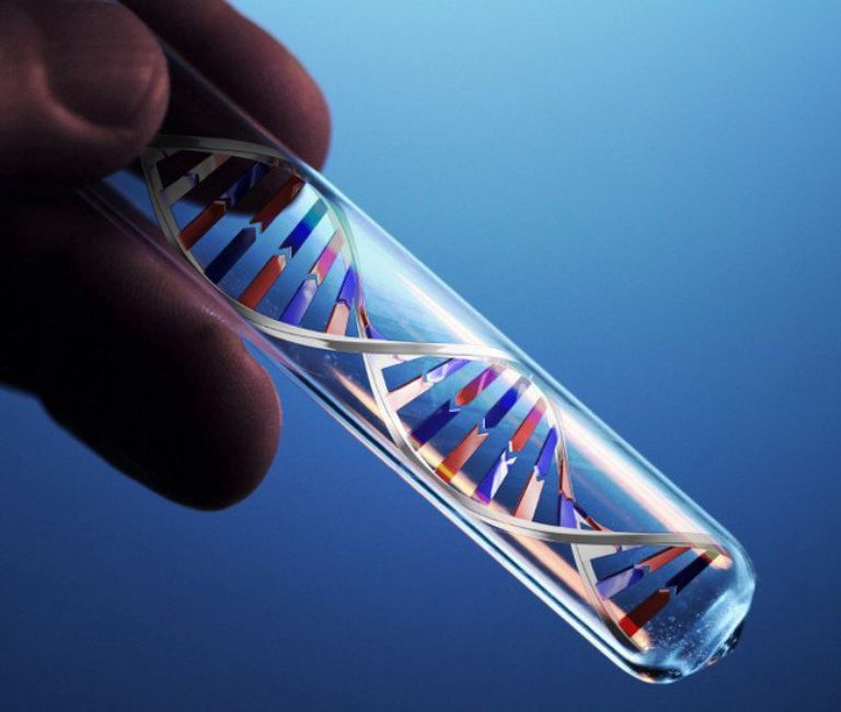 6 dịch vụ xét nghiệm ADN phổ biến nhất