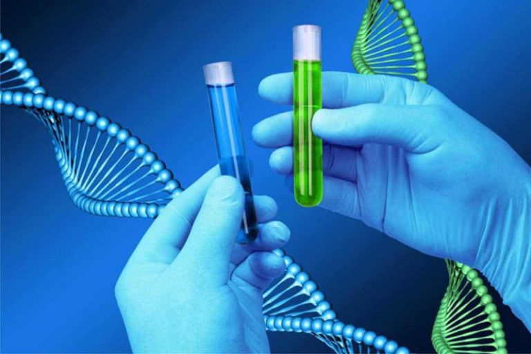 Xét nghiệm ADN có mang lại kết quả chính xác không?