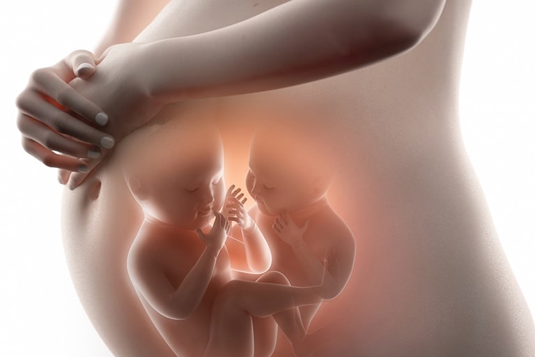 xét nghiệm nipt cho thai đôi