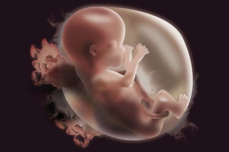 Xét nghiệm NIPT sớm có tác dụng gì?