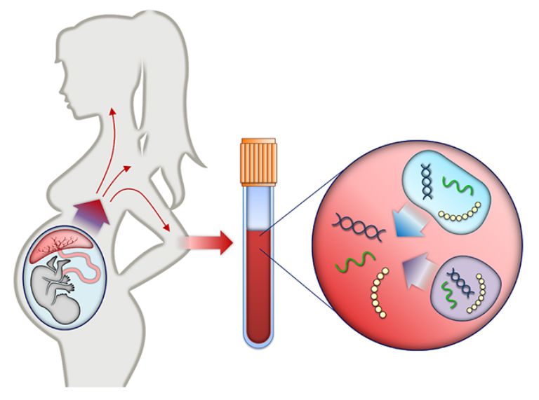 Xét nghiệm NIPT và Double Test mẹ bầu nên lựa chọn phương pháp nào?