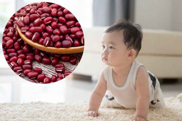 Chữa chậm nói bằng đậu đỏ chỉ là một phương pháp dân gian đuwojc nhiều người làm theo chứ chưa có một nghiên cứu chính thức nào về nó