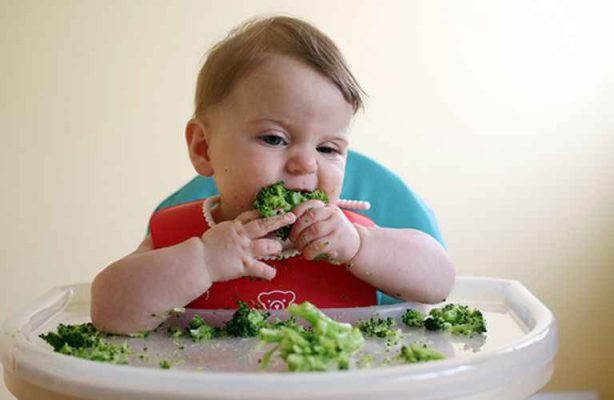 Bé 4 tuổi không biết nhai đang là tình trạng đau đầu của nhiều bậc cha mẹ