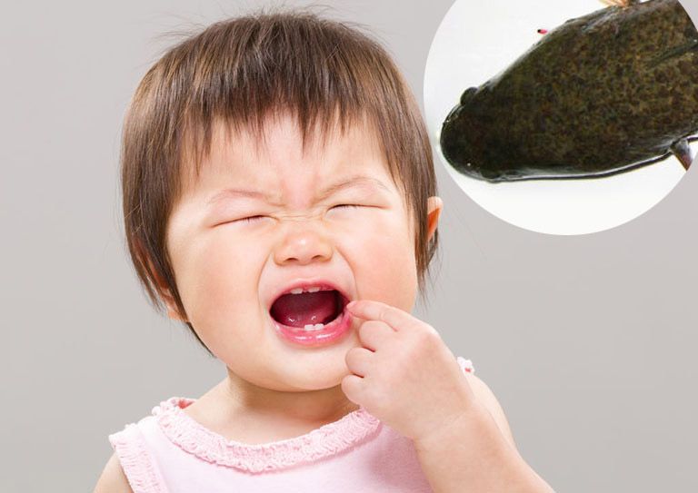 Mẹo Chữa Chậm Nói Bằng Cá Lóc Có Hiệu Quả Không?