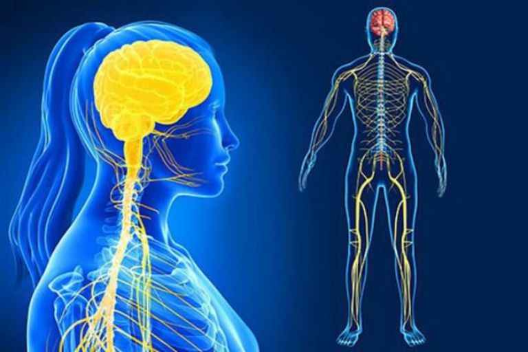 Vật lý trị liệu bằng điện sinh học giúp cho hệ thần kinh của người bệnh được thư giãn khiến cho cơ thể được thư giãn tốt hơn