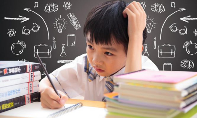 Phục hồi chức năng trẻ chậm phát triển trí tuệ