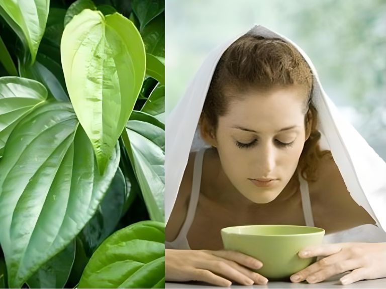 cách chữa đau mắt đỏ bằng lá trầu không