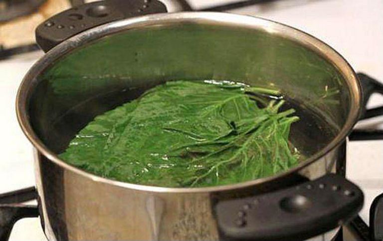 xông lá trầu chữa đau mắt đỏ